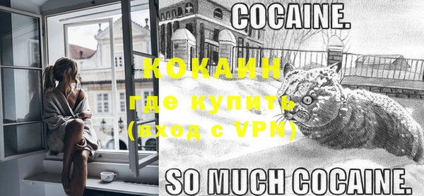 твердый Аркадак