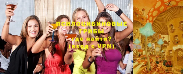 твердый Аркадак