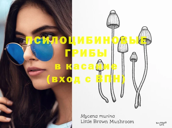 синтетический гашиш Арсеньев