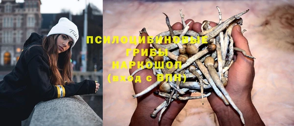 твердый Армянск