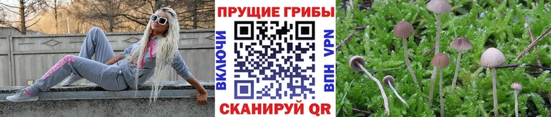 Галлюциногенные грибы мицелий  гидра ССЫЛКА  Семёнов 